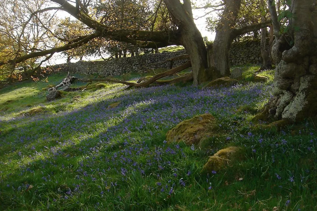 Littlebank Country House Settle Bed & Breakfast