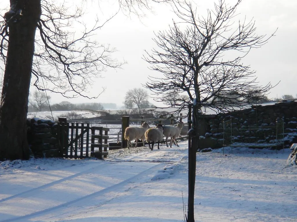 Bed and Breakfast Littlebank Country House Settle